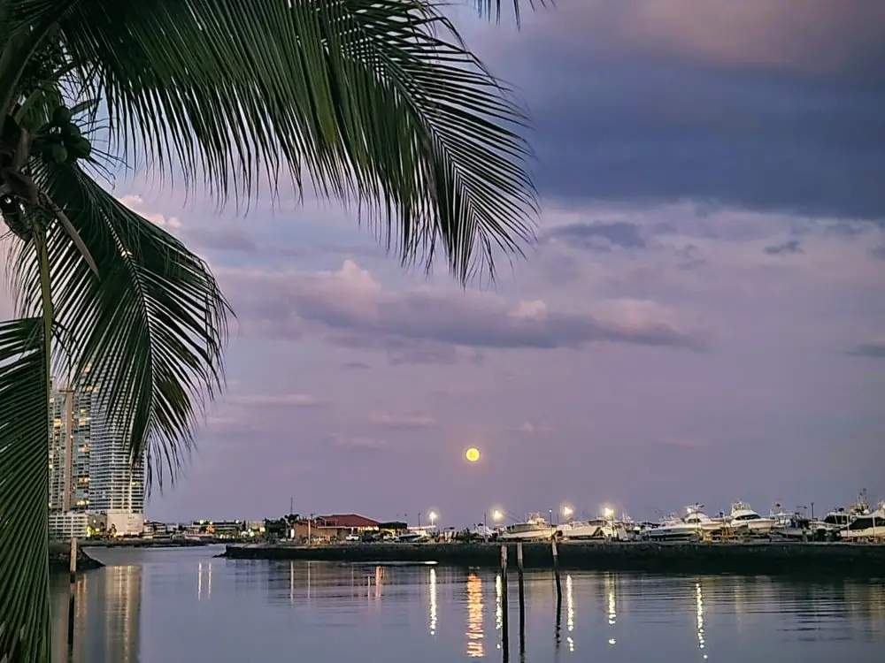 Luna llena sobre la marina de la ciudad al anochecer