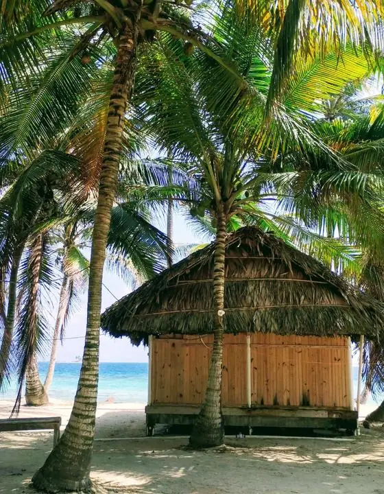 Cabaña con techo de palma entre cocoteros en San Blas