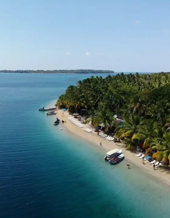 Vista aérea de una playa con palmeras en Bocas del Toro