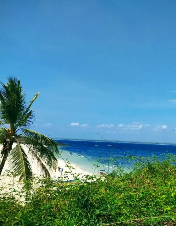 Playa de arena blanca con palmera junto al Pacífico