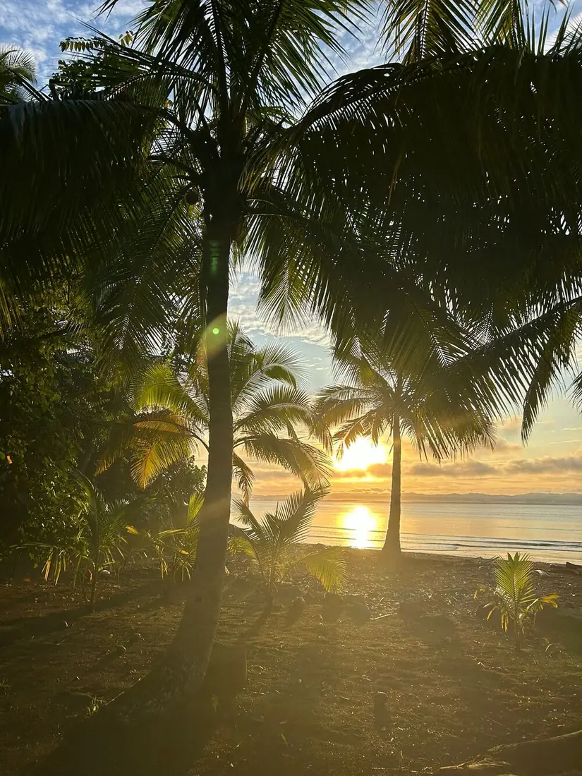 Amanecer sobre el mar entre las palmeras