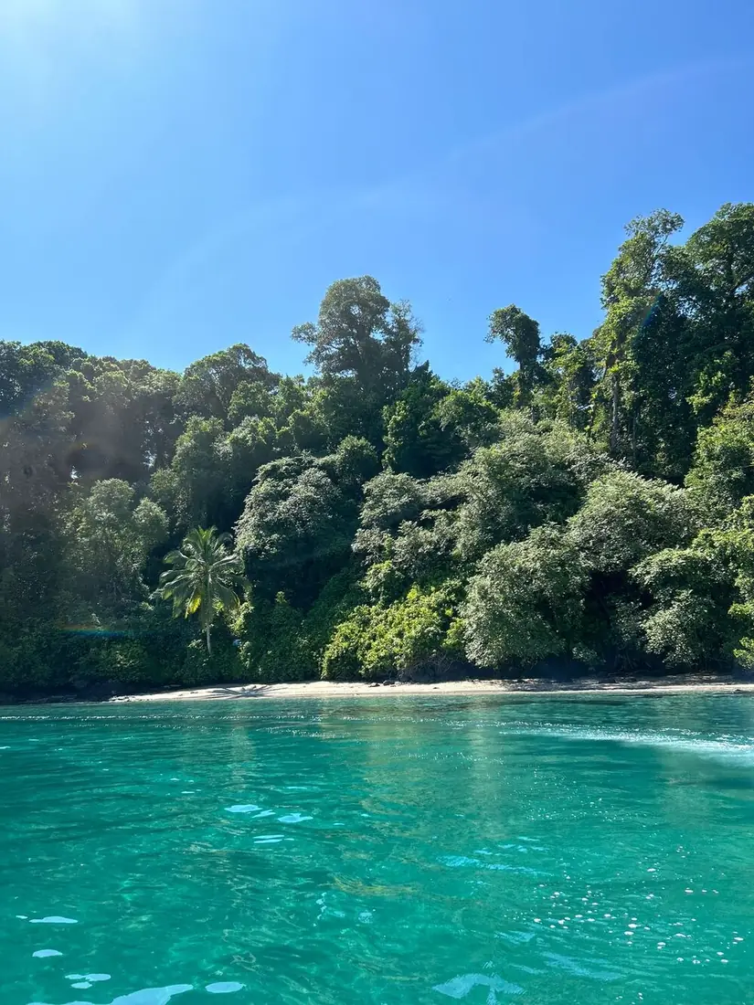 Selva junto a una pequeña playa con el agua de color turquesa