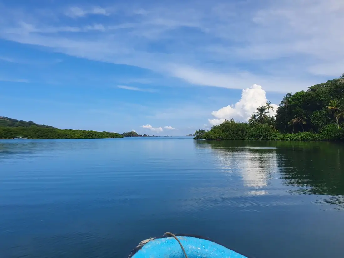 Bahía de aguas tranquilas entre manglares vista desde la proa de una lancha