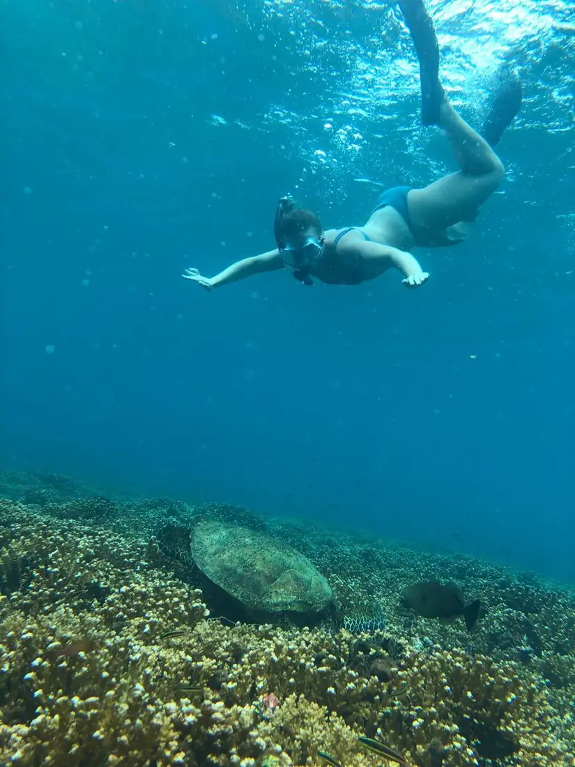 Viajera haciendo esnórquel sobre una tortuga marina en el arrecife