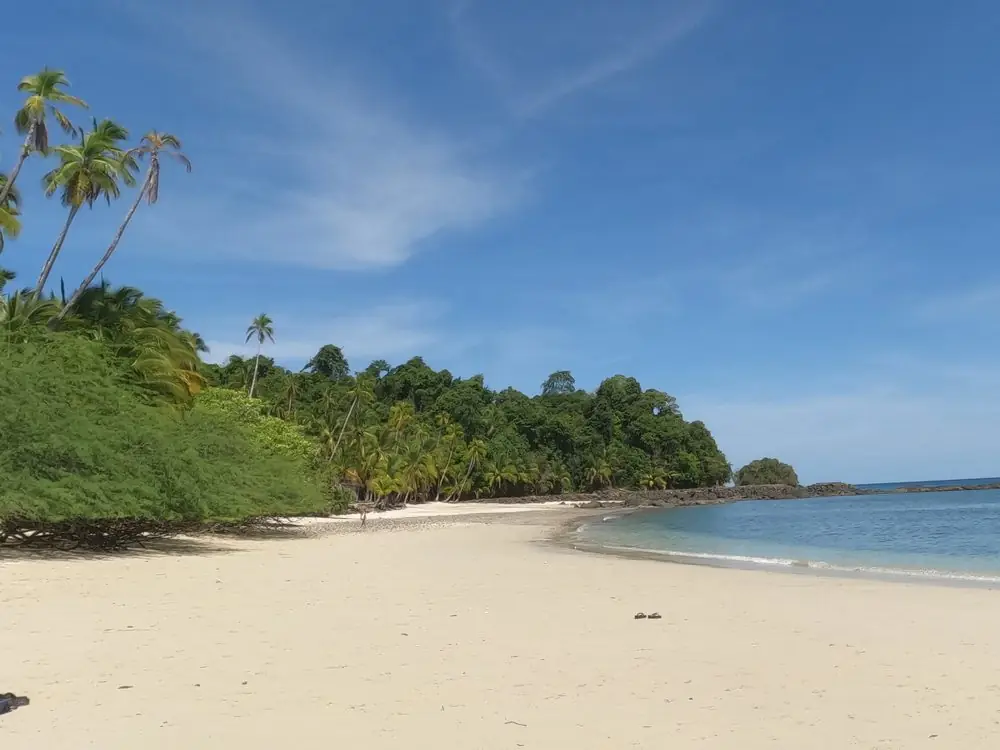 Playa de arena blanca con palmeras en Coiba
