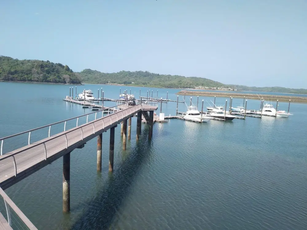 Muelle y marina con barcos
